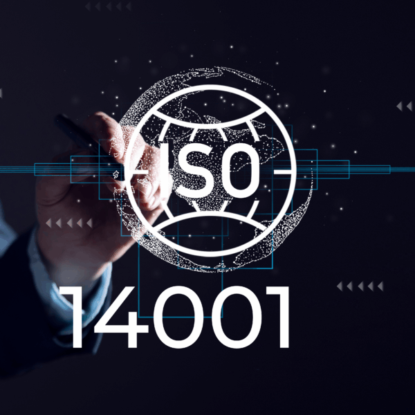 A consultant pointing to a digital display about working with an expert ISO 14001 consultant.