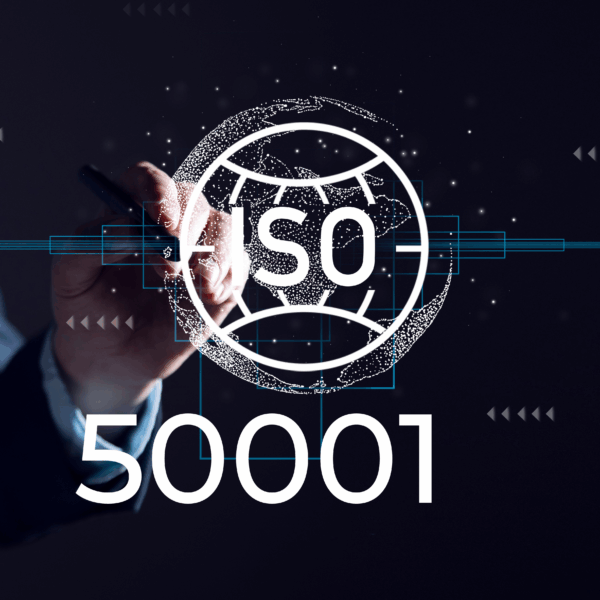 A consultant pointing to a digital display about working with an expert ISO 50001 consultant.